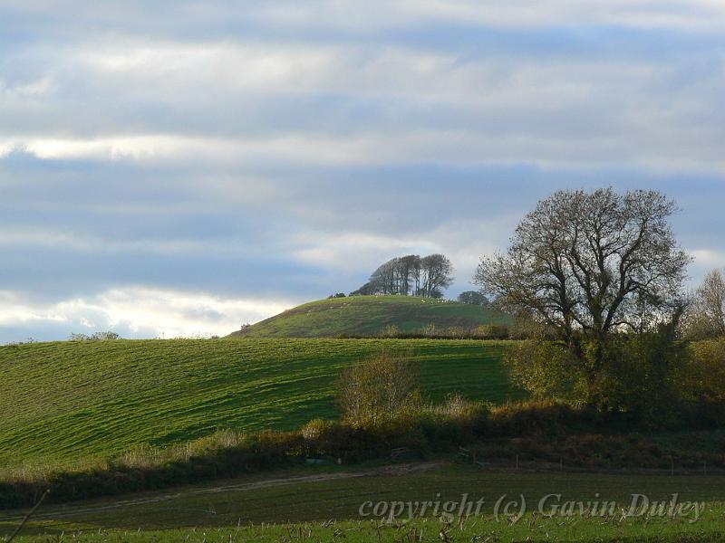 Hill shapes, Beaminster P1150642.JPG